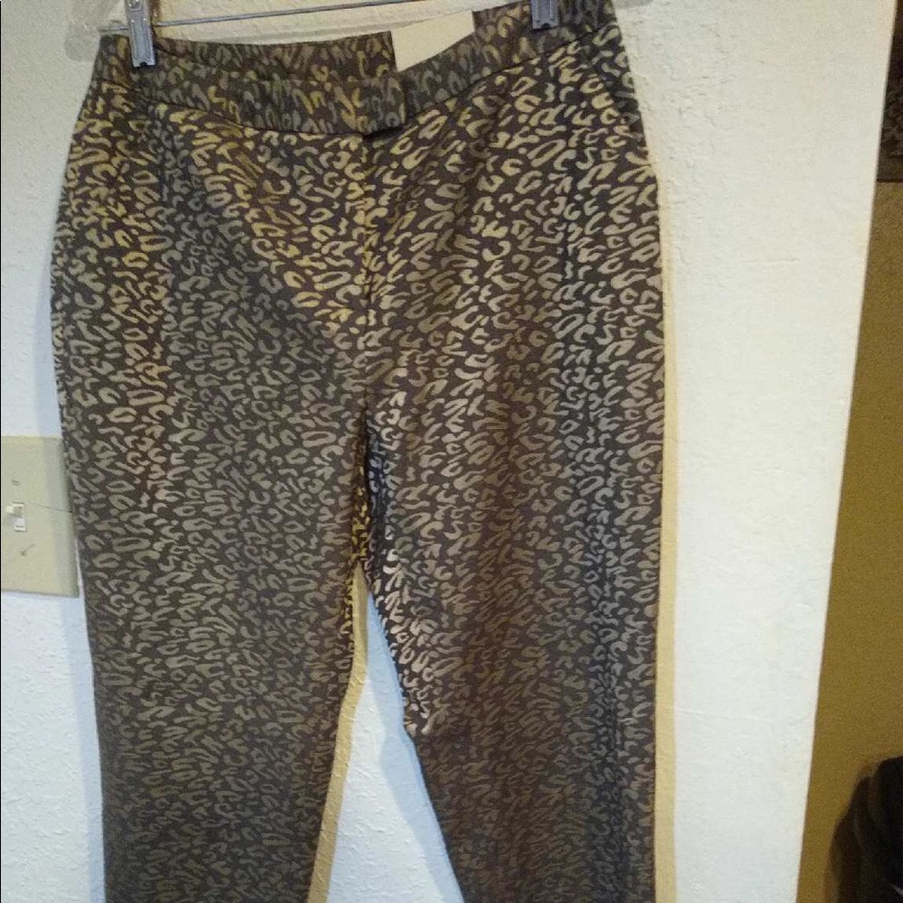 CATO CONTEMPORARY PANTS NWT